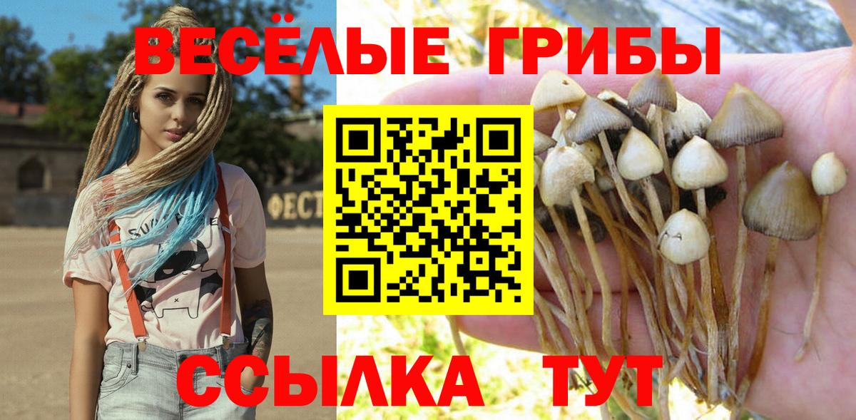 Галлюциногенные грибы мухоморы Кыштым