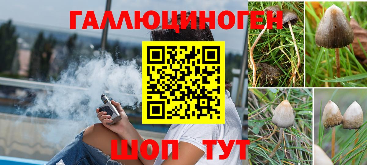 Кыштым  Галлюциногенные грибы Psilocybine cubensis  Галлюциногенные грибы мухоморы  Вход с VPN 